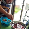 Sfintele Sărbători Pascale 2025